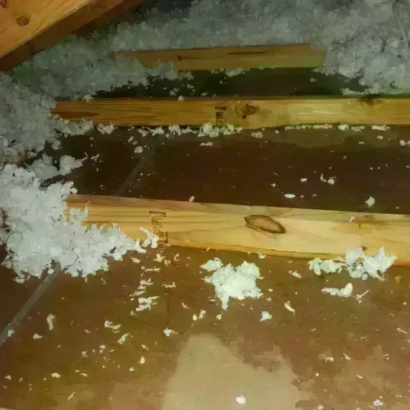 Attic Water Damage in Canyon, TX