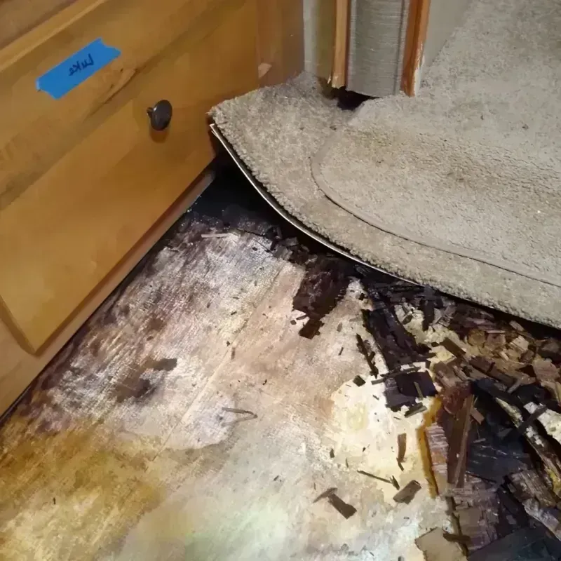 Wood Floor Water Damage in Canyon, TX